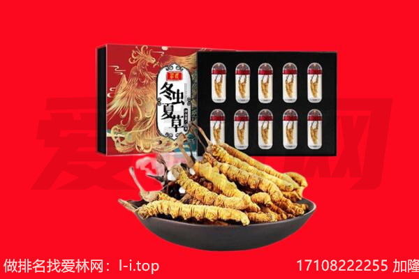 开平市回收虫草.jpg